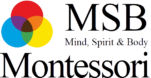msb montessori logo flag